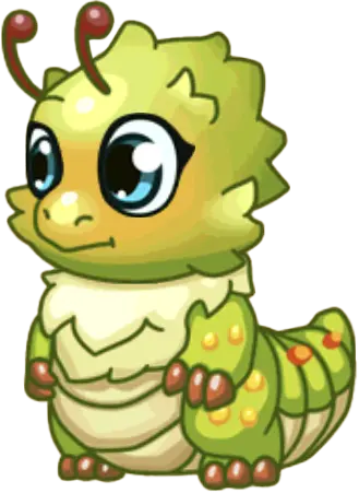Cecropia
