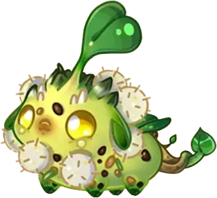 Chikipea