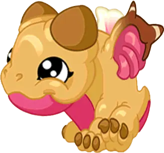 Conch