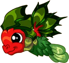 Holly