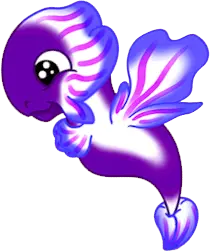 Orchid