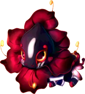 Rubrum