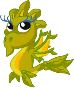 Seaweed