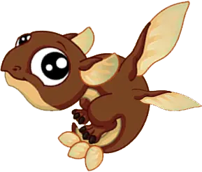 Seed