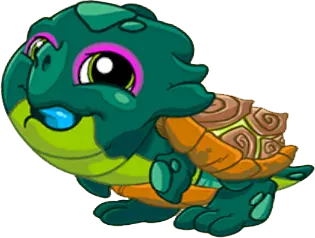 Snapper