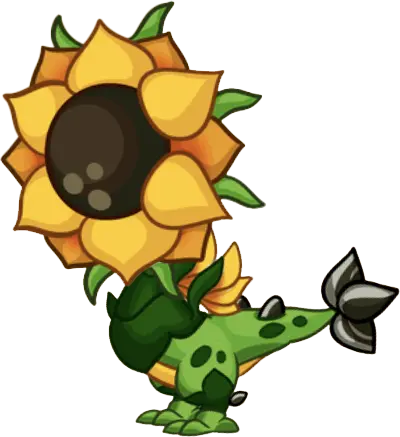 Sungazer