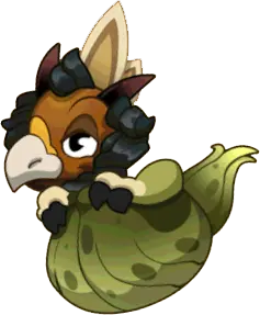 Teozinte